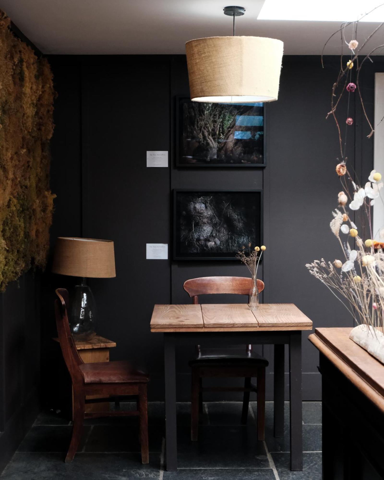 Llys Meddyg Hotel นิวพอร์ต ภายนอก รูปภาพ